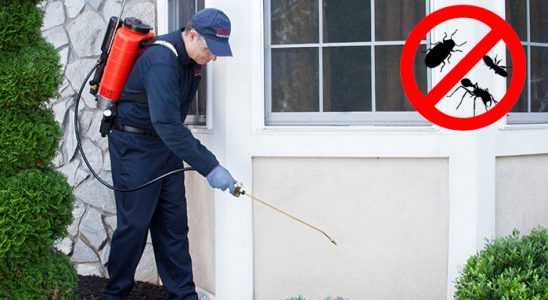 Sandıklı Böcek ve Haşere İlaçlama böcek ilaçlama ve haşere kontrolü — ilaclama-tr.com